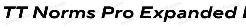 TT Norms Pro Expanded Bold字体转换 TT Norms Pro Expanded Bold字体转换